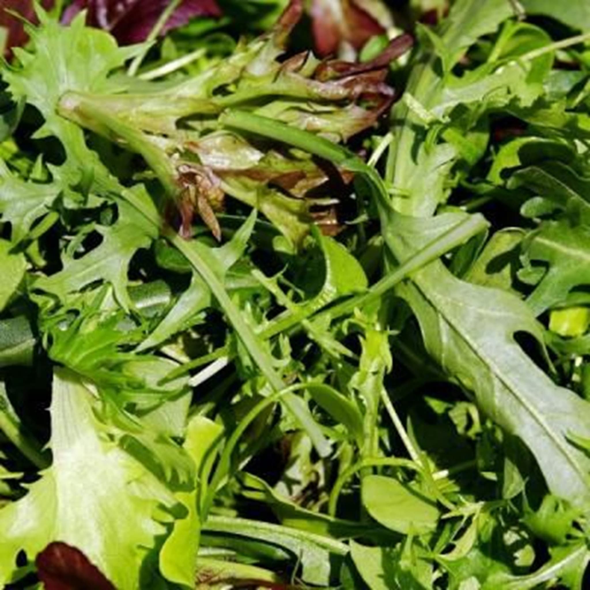 Organic salad bag