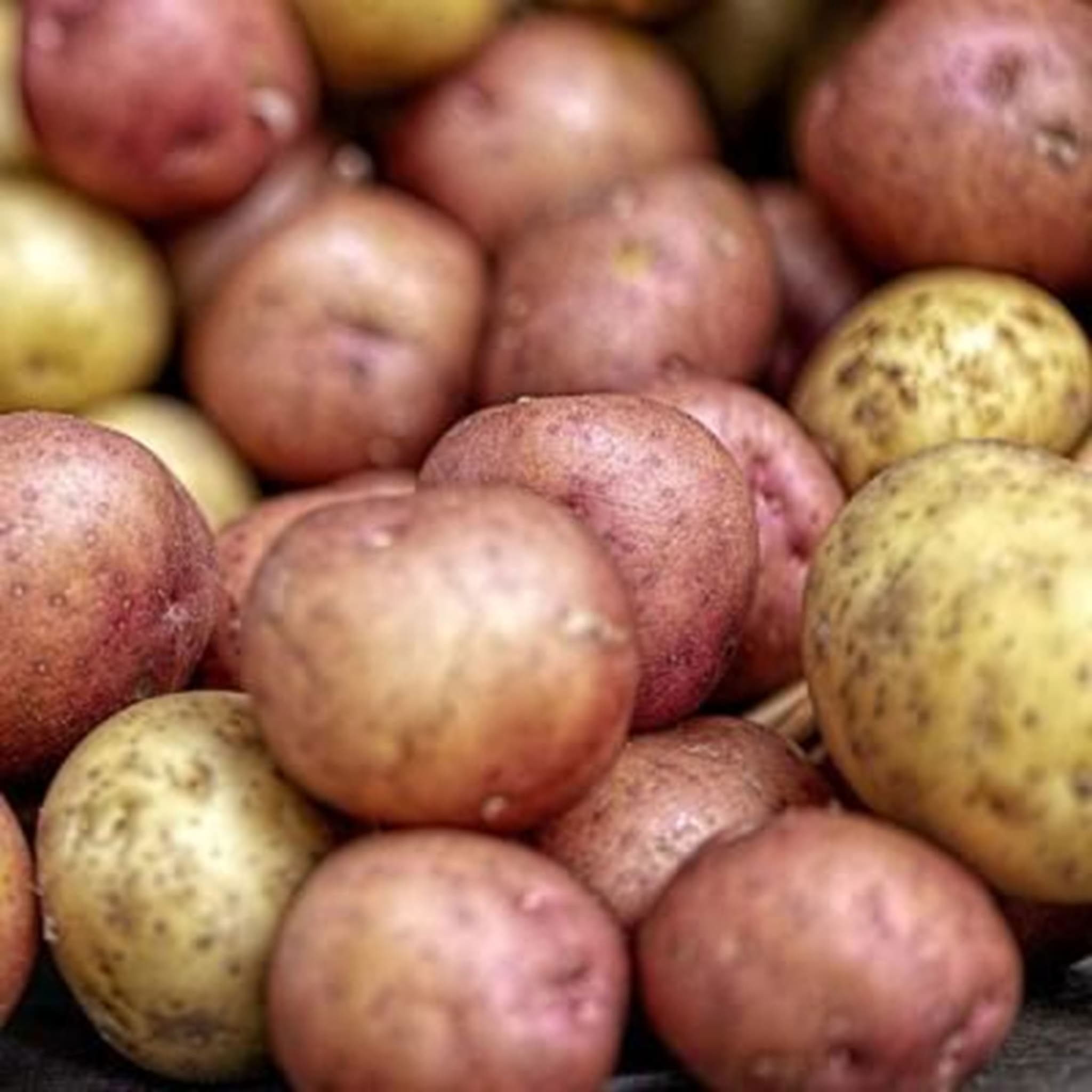 Organic potatoes
