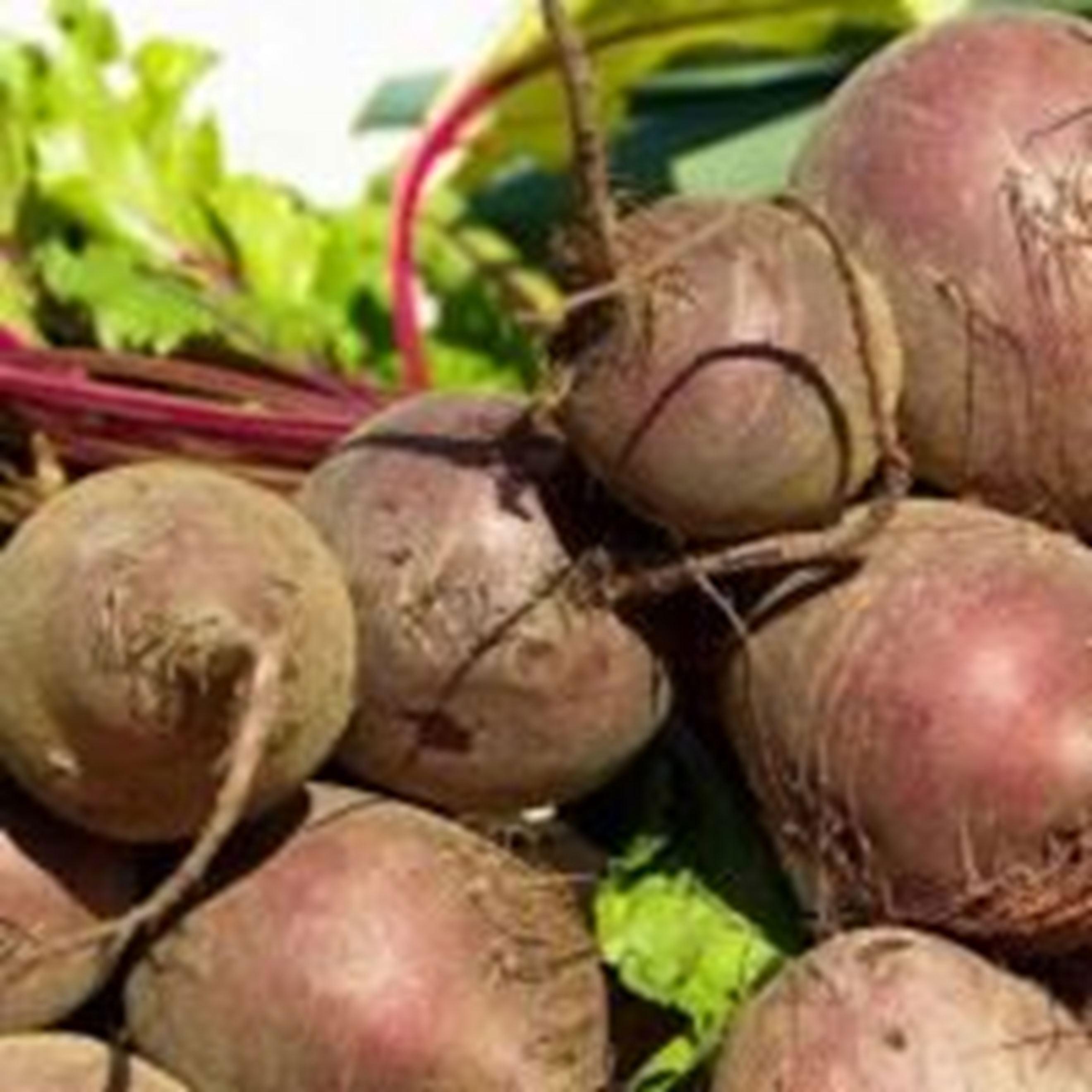 Organic Beetroot