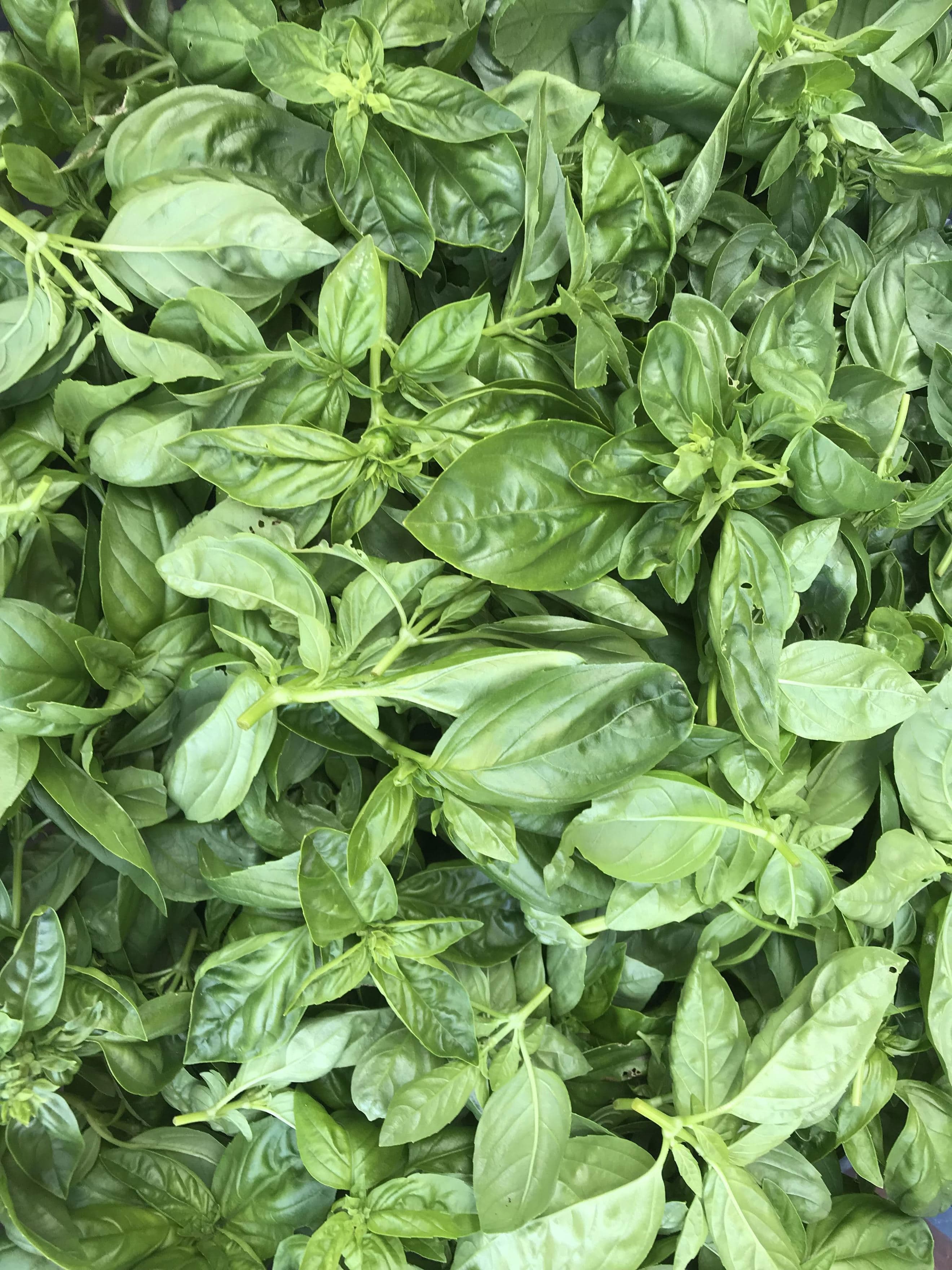 Organic basil